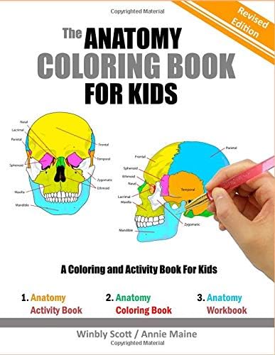 The Anatomy Coloring Book For Kids: A Coloring and Activity Book For Kids (Revised Edition) Paperback – Large Print, 8 Apr 2019