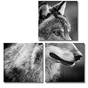 3 Piece Canvas Wall Art for Living Room Bedroom Home Artwork Animal Paintings Ready to Hang - 12"x12"x3 Panels