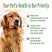 Advanced Hip and Joint Supplement for Dogs, Natural Extra Strength Dog Arthritis Pain Relief & Anti Inflammatory for Dogs Helps Limping, Mobility Issues, Hip Dysplasia, ACL Tears, 180 Tiny Pills