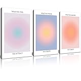 Framed 3Pcs Abstract Wall Art Poster Room