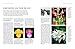 Orchids: A Practical Guide for Gardeners: With Advice On Growing, A Directory Of 200 Orchids, and 600 Color Photographs