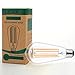 LETO ST64 Vintage LED Edison Bulbs Filament Light Bulb Dimmable [edison style][Energy Saving 4W LED- 40W Equivalent ][UL Listed][2200K Warm]E26 Based [led bulb home]-1Pack