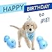 Cloudy Come CoN Dog Birthday Boy Bandana with Paw Print Party Cone Hat and 10 Balloons - Great Dog Birthday Outfit and Decoration Set - Perfect Dog or Puppy Birthday Gift