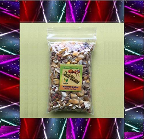 Insectsales.com Live Ants for Ant Farms with Free Ant Food (36 Healthy Red Harvester Ants) (1) Ants + Ant Food - Thumbnail 2