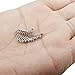 ORAZIO 4Pcs 20G Stainless Steel Nose Rings Studs Piercing Ear Body Piercing 1.5mm 2mm 2.5mm 3mm (E:10Pcs (20G,Silver-Tone))