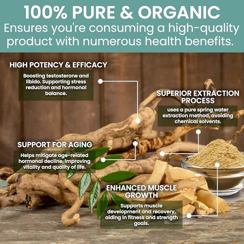 Holistic Bin Tongkat Ali Extract Powder – Premium Longjack Harvested from Sumatran Forests – Herbal – No Fillers or Preservatives – 50 Grams
