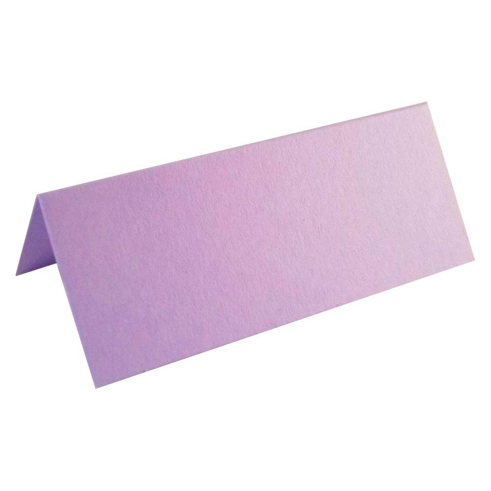 100 x Lilac Blank Wedding Table Name Place Cards