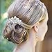 EVER FAITH Wedding Hair Accessories Austrian Crystal Cream Simulated Pearl Bridal Bride Leaf Flowers Side Comb Clear Silver-Tone