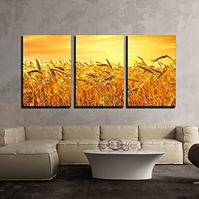 3 Piece Canvas Wall Art - Wheat Field Under The Sunset - Modern Home Art Stretched and Framed Ready to Hang - 16"x24"x3 Panels
