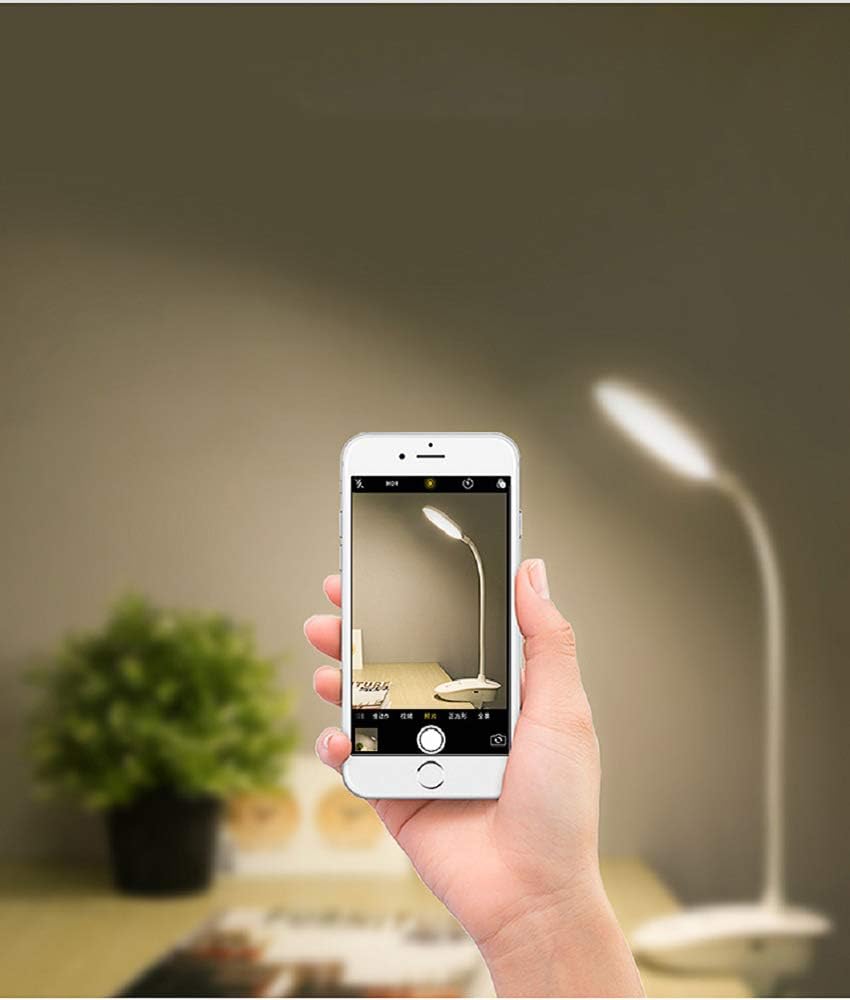 Miday Clip on Lamp, Battery Powered Reading Lamp, Clip on Light for Bed Clip on Battery Light with 3 Brightness Level, USB Rechargeable, Reading Lamp - - 