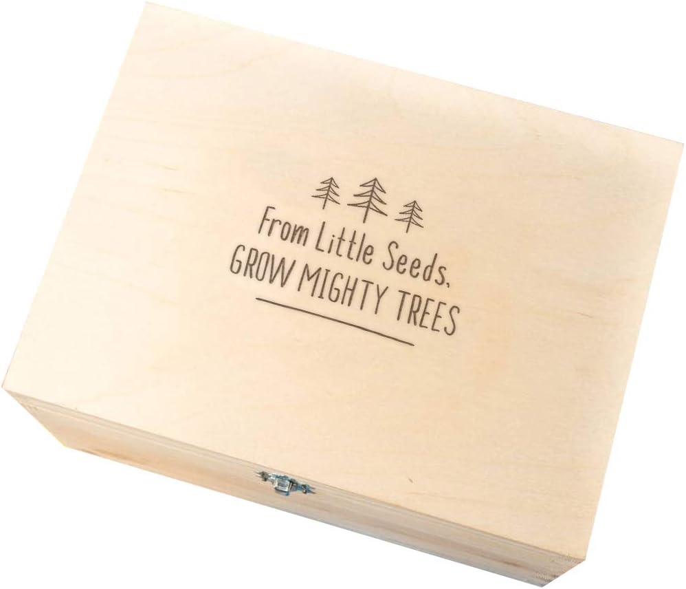 Wooden Engraved Keepsake Box/Baby Keepsake Memory Box/Unique New Baby Gifts/Engraved Gifts for New Parents/Newborn Girl Boy Gifts (from Little Seeds Grow Mighty Trees)