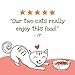 Muse by Purina Natural, Grain Free Dry Cat Food, Charmed With Chicken, Egg & Pumpkin Recipe - 9 lb. Bag