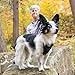 Kurgo Tru-Fit Smart Harness, Dog Harness, Pet Walking Harness, Quick Release Buckles, Front D-Ring for No Pull Training, Includes Dog Seat Belt Tether (Black, X-Large)