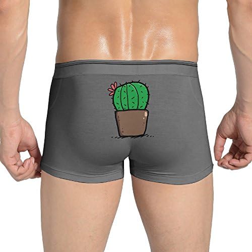 Cactus Cute Art Mans Breathable Boxer Briefs Seamless Boxer Brief