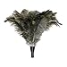 Mr. LongArm 741 Ostrich Feather Duster with Extension Pole 3-to-6 Foot