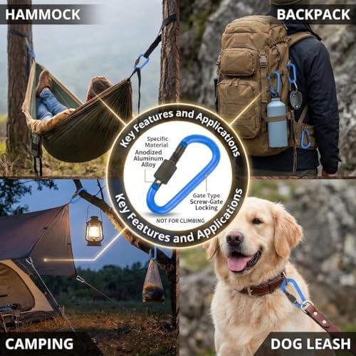 IEBUOBO 10 Pack Aluminum D Ring Key Rings Hiking Clips Locking Carabiner for Hiking Camping Fishing and Outdoor Use，Clips with Screw Gate Multicolored