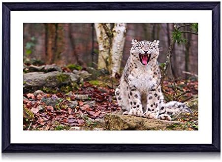 80cmx60cm 木製の黒色のフォトフレーム ユキヒョウプレデター歯顔秋葉木 壁掛け 壁飾り