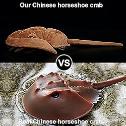 ZHONGXIN MADE Simulation Tri-Spine Horseshoe Crab