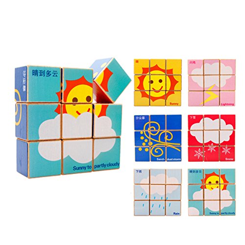 Children's Educational Toys Wooden Six Sides Puzzle Building Blocks-Weather