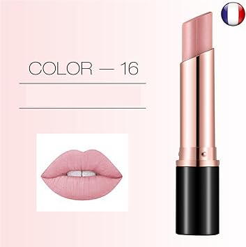 Rouge à Lèvre Mat Permanent Longue Durée Waterproof Marron Rose Nude