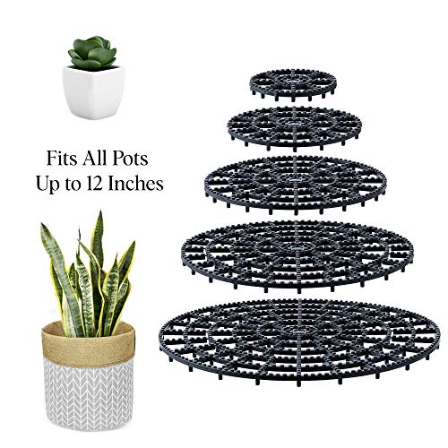 Patio & Deck Floor Protector (Set of 2) 12 inches Perfect Plant Trivet