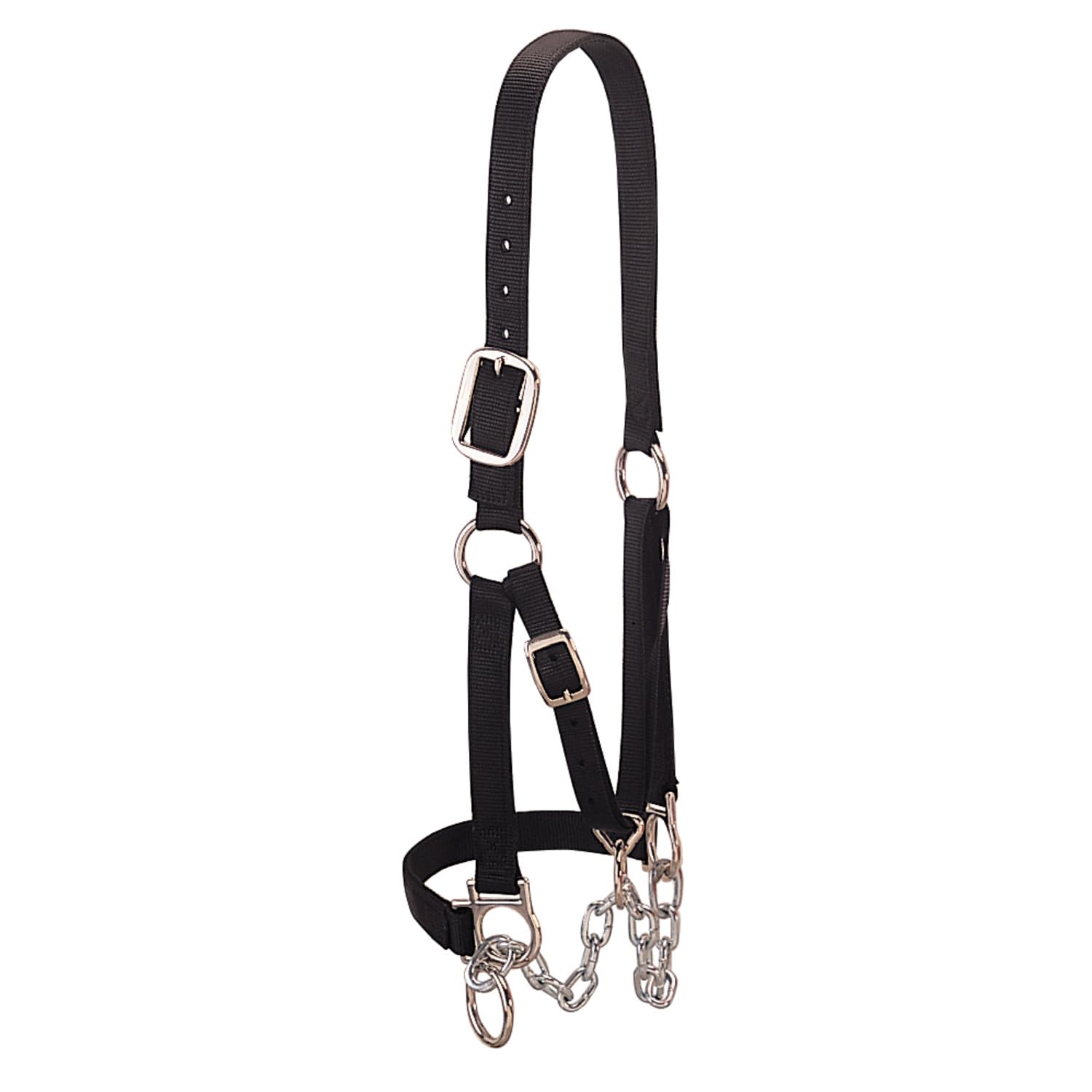 Weaver Leather Heavy-Duty Restraint Halter, Medium, Black — image 1