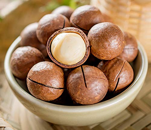 OUZ123 Instant Food Whole Macadamia Nuts Creamy Taste Xia Wei Yi Guo å¤å¨å¤·æžœ 250g/8.8oz