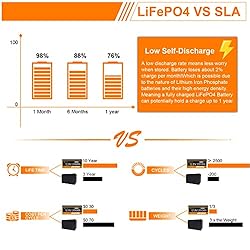 VESTWOODS Smart 12V 200Ah LiFePO4 Lithium