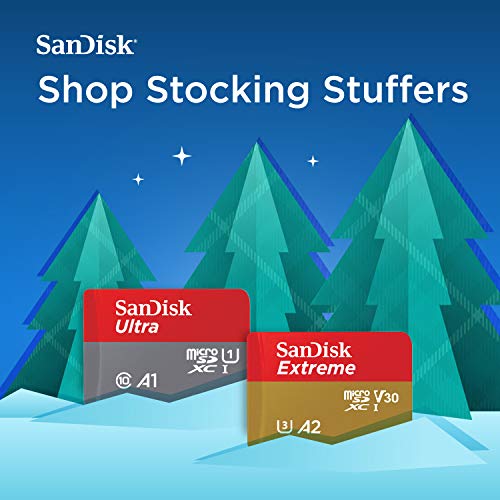 4 SanDisk+128GB+microSDXC+Memory+Adapter