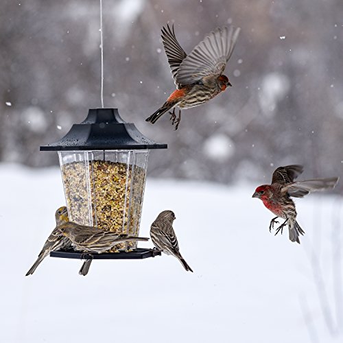 Perky-Pet Carriage Bird Feeder 310