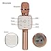 Karaoke Microphone - Portable Wireless Handheld Bluetooth with Amplifier - Broadcast, Present, Youtube Songs, for Android, Apple, and Computers - Rose Gold