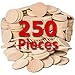 Round Unfinished Natural Wood Circles for Arts and Crafts 1.5 Inches (250 Pieces) by Dragon Drew