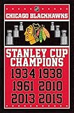 Chicago Blackhawks - Champions 2015 Poster Print (22X34)