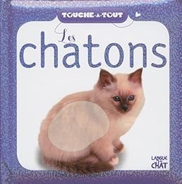 Les  chatons