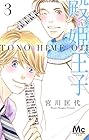 殿*姫*王子 第3巻