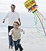 Giant Octopus Kite for Kids and Adults - Large Rainbow Easy Flyer with 157-Inch Long Tails Prefect Outdoor Beach Toys Present Idea for Birthday
