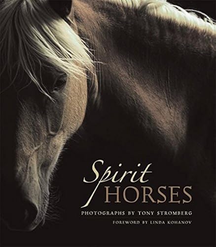 Download Spirit Horses PDF