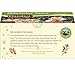 Celestial Seasonings Black Tea, Nutcracker Sweet, 18 Count (Pack of 6)