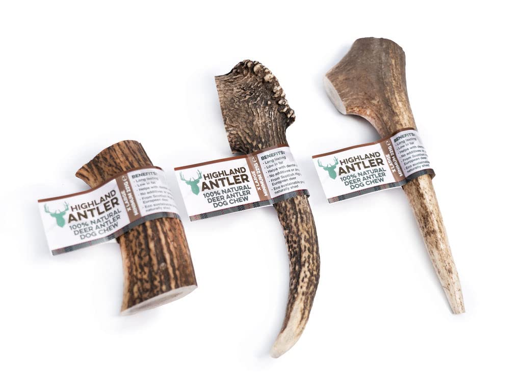Highland Antler - Natural Antler Dog Chew. Pack of 1x Extra Large (220-270g) Naturally Shed Red Deer Antler, Long Lasting Dog Chew Bone With Calcium And Minerals (Shape may vary)