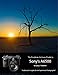 The Friedman Archives Guide to Sony's A6500 - Professional Insights for the Experienced Photographer