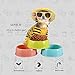 BOCHO Plastic Dog Bowls，Food Dishes & Water Bowl for Dogs, Cats or Other Small Animals - 3 Color Set
