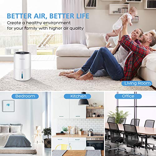 Homemaxs Dehumidifier 900ml,【2020 Newest】Small Dehumidifier Safe