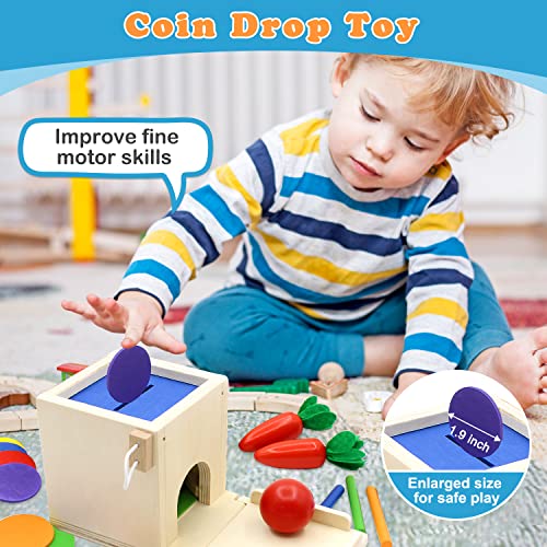 BAYMI 4 in 1 Wooden Montessori Toys Play Kit with Object Permanence Box