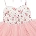 Flofallzique Summer Baby Girls Tulle Dress Floral Wedding Birthday Tea Party Special Occasion Infant Toddler Tutu