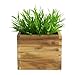 IKEA Artificial Potted Plant, House Bamboo, 11 Inch