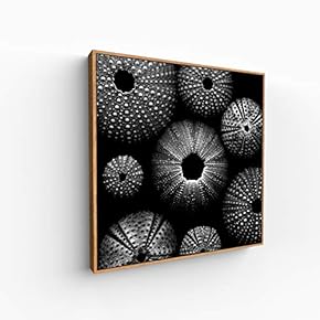 Canvas Wall Art for Living Room, Bedroom Monochrome Image Framed Canvas Prints for Home Decoration Ready to Hang - 16x16 inches