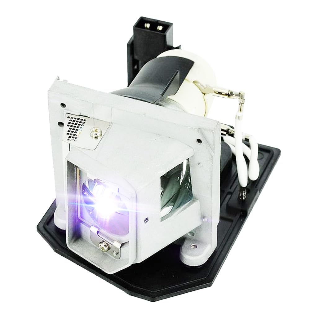 iReijomoi Replacement Lamp BL-FU240A / SP.8RU01GC01 Bulb with Housing for OPTOMA DH1011/EH300/HD131X/HD25/HD25-LV/HD2500/HD30/HD30B Projectors