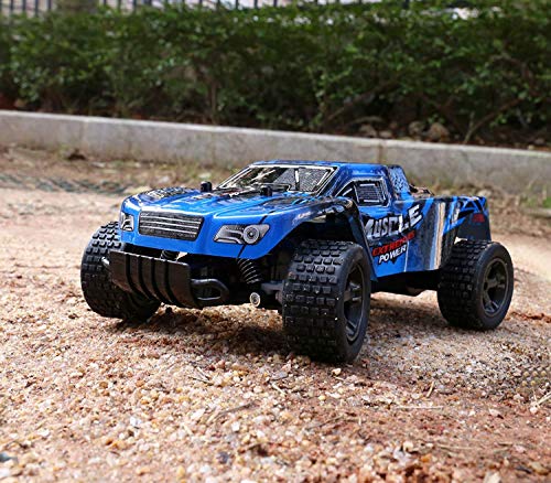 FitMaker RC Car, All Terrain Remote Control High-Speed Telecar, Offroad 2.4Ghz 2WD Remote Control Monster Truck Kids Adults (Normal Type)