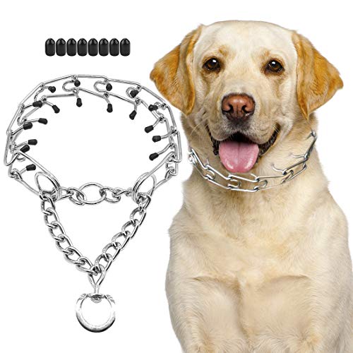 SuReady Dog Prong Collar, Stainless Steel Dog Chole Pinch Training