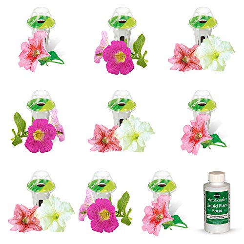 AeroGarden Cascading Petunia Flower Seed Pod Kit